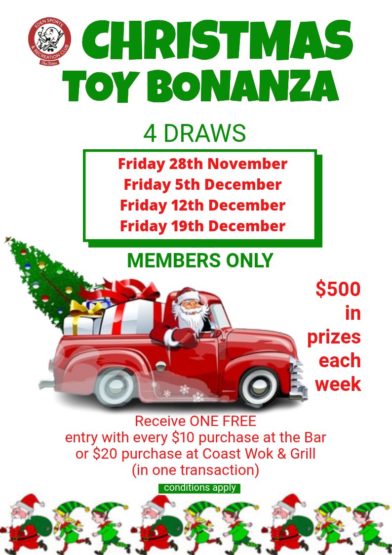 christmas toy bonanza